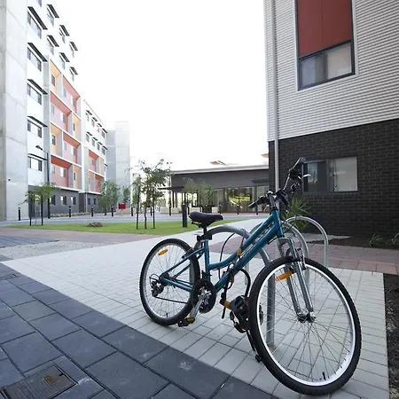 Ecu - Mt Lawley-2
